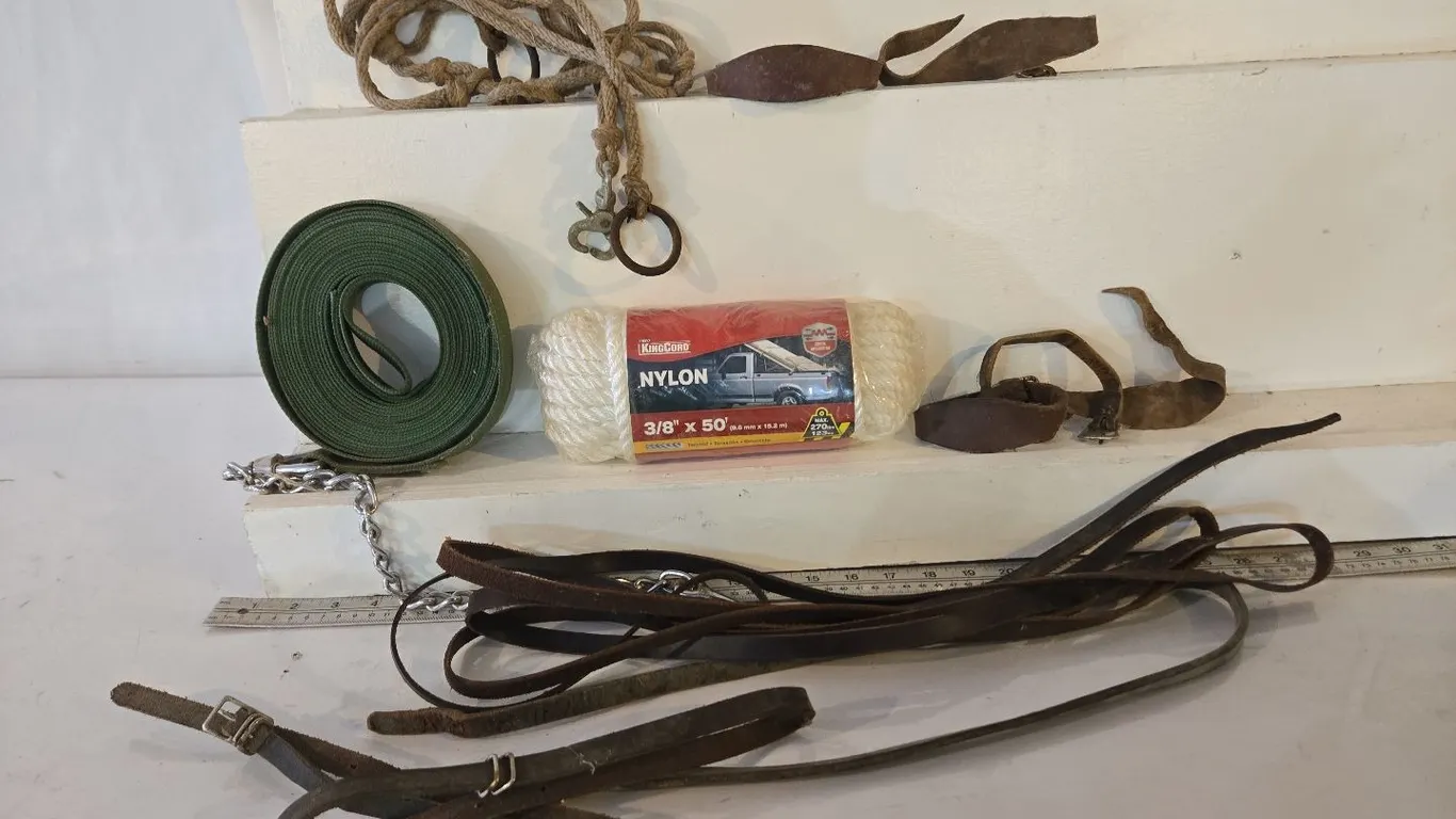 Reins & Leads