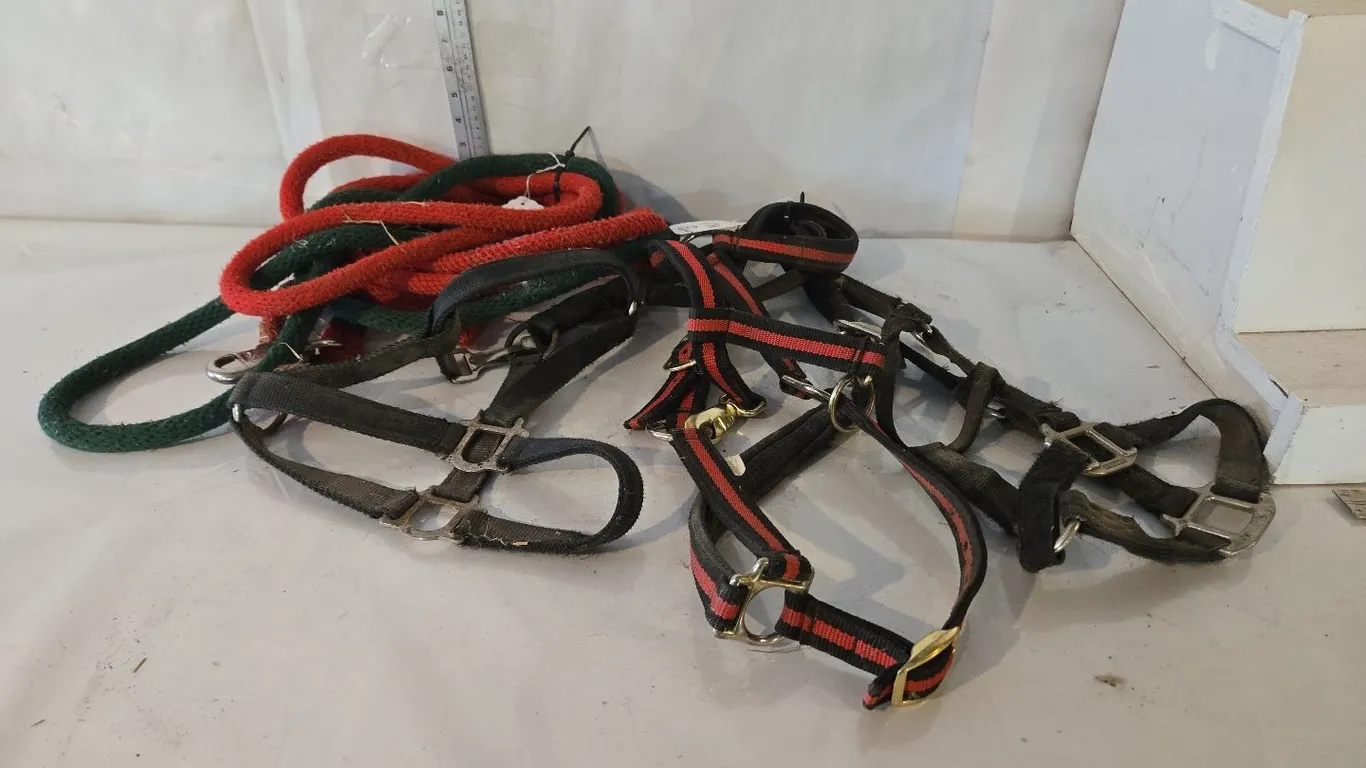 3 - Horse Halters & 2 - Leads