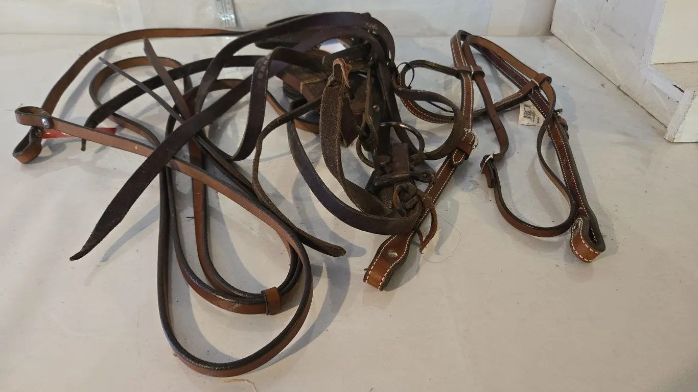 Horse Bridles & Reins