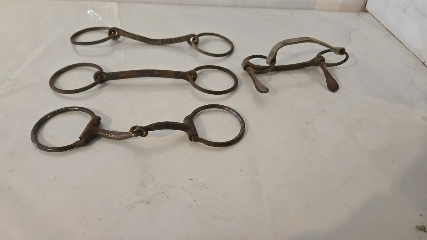 4 - Horse bits
