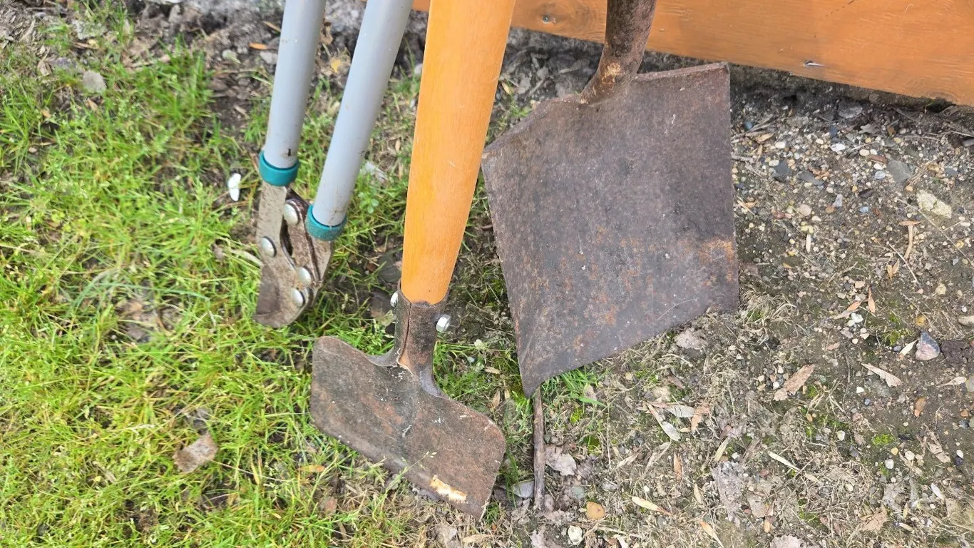 Square Shovel, Edger & Trimmer