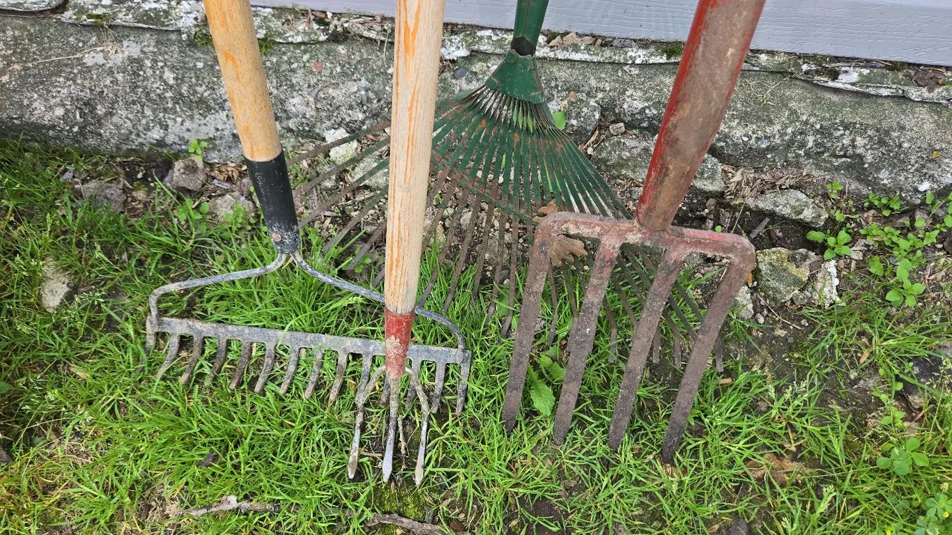 Fork, Rakes (2), Weeder