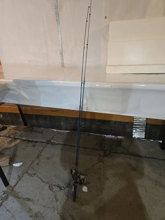 Fishing Rods (2)
