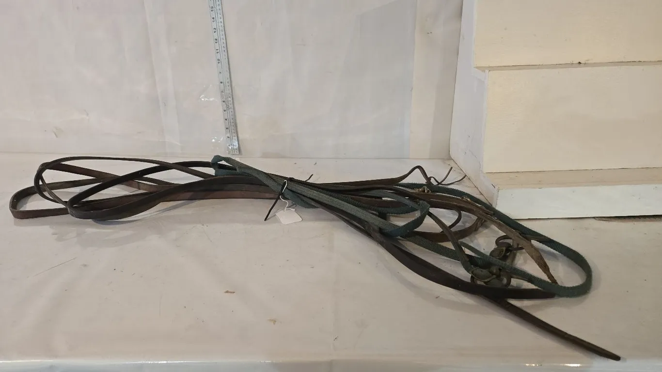 Reins - cloth & leather reins
