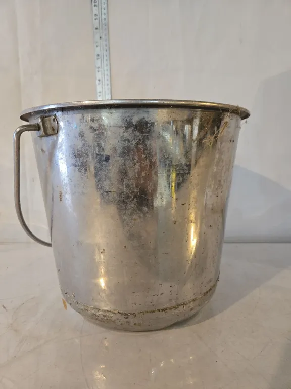 Stainless Steel Milk Pail