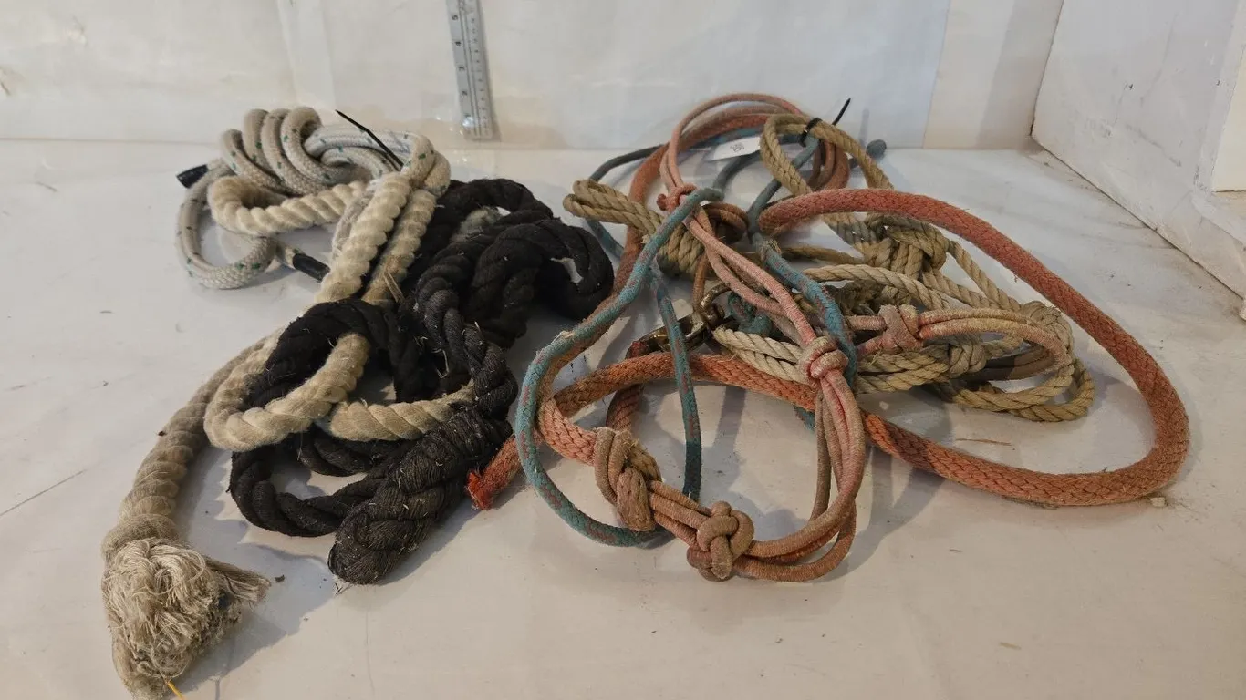 Leads & Rope Halters