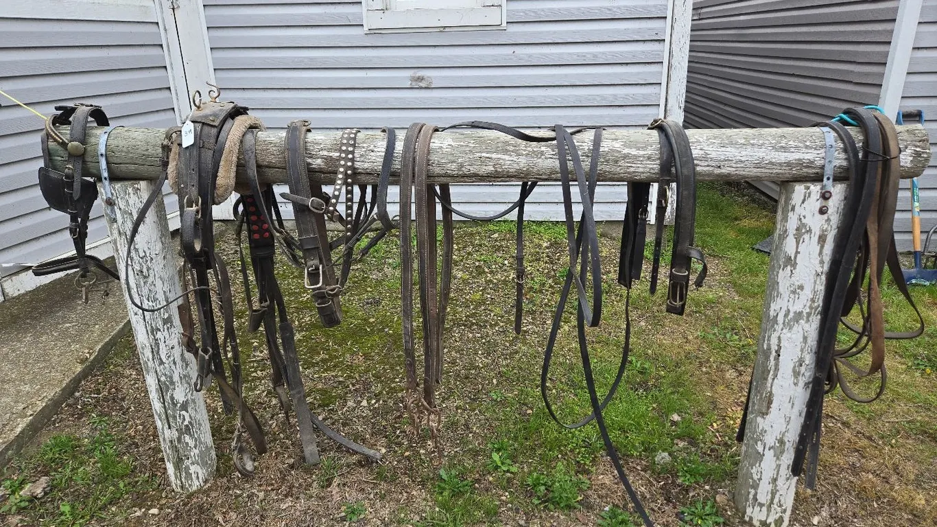 Single Driving Harness, incomplete & extra parts