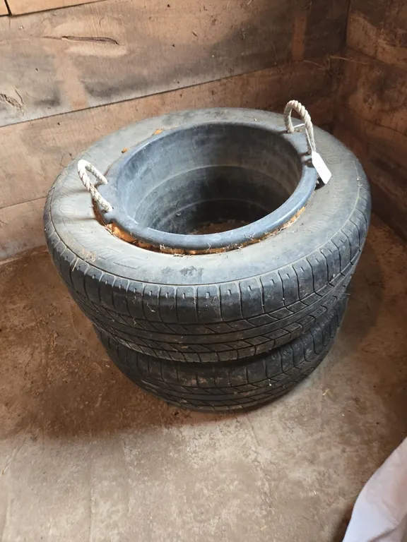 Water Bucket in tire, homemade