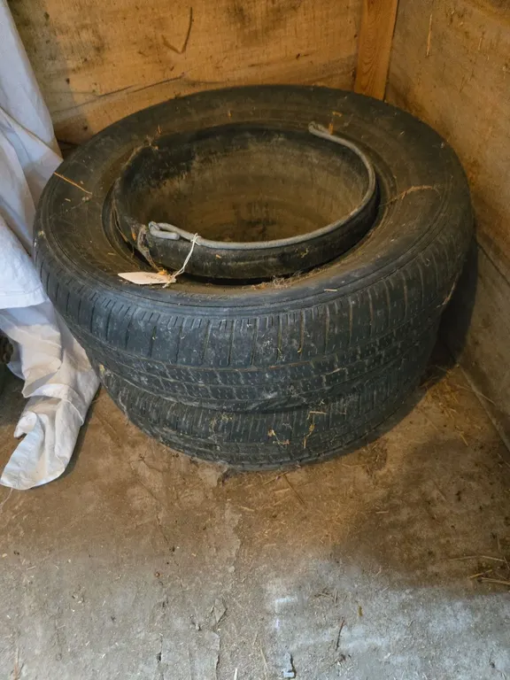 Water Bucket in tire, homemade