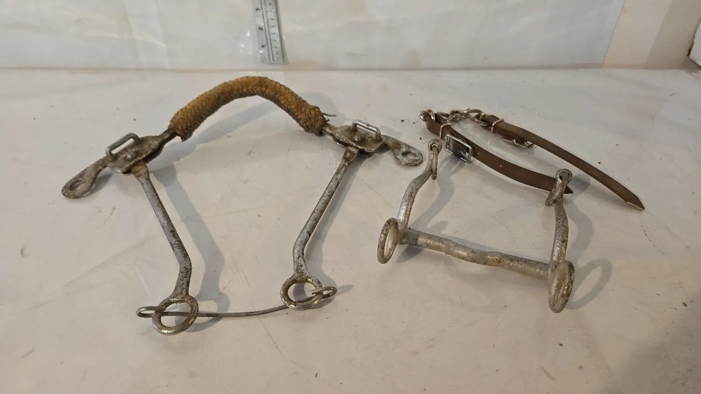 Horse Bits (2)