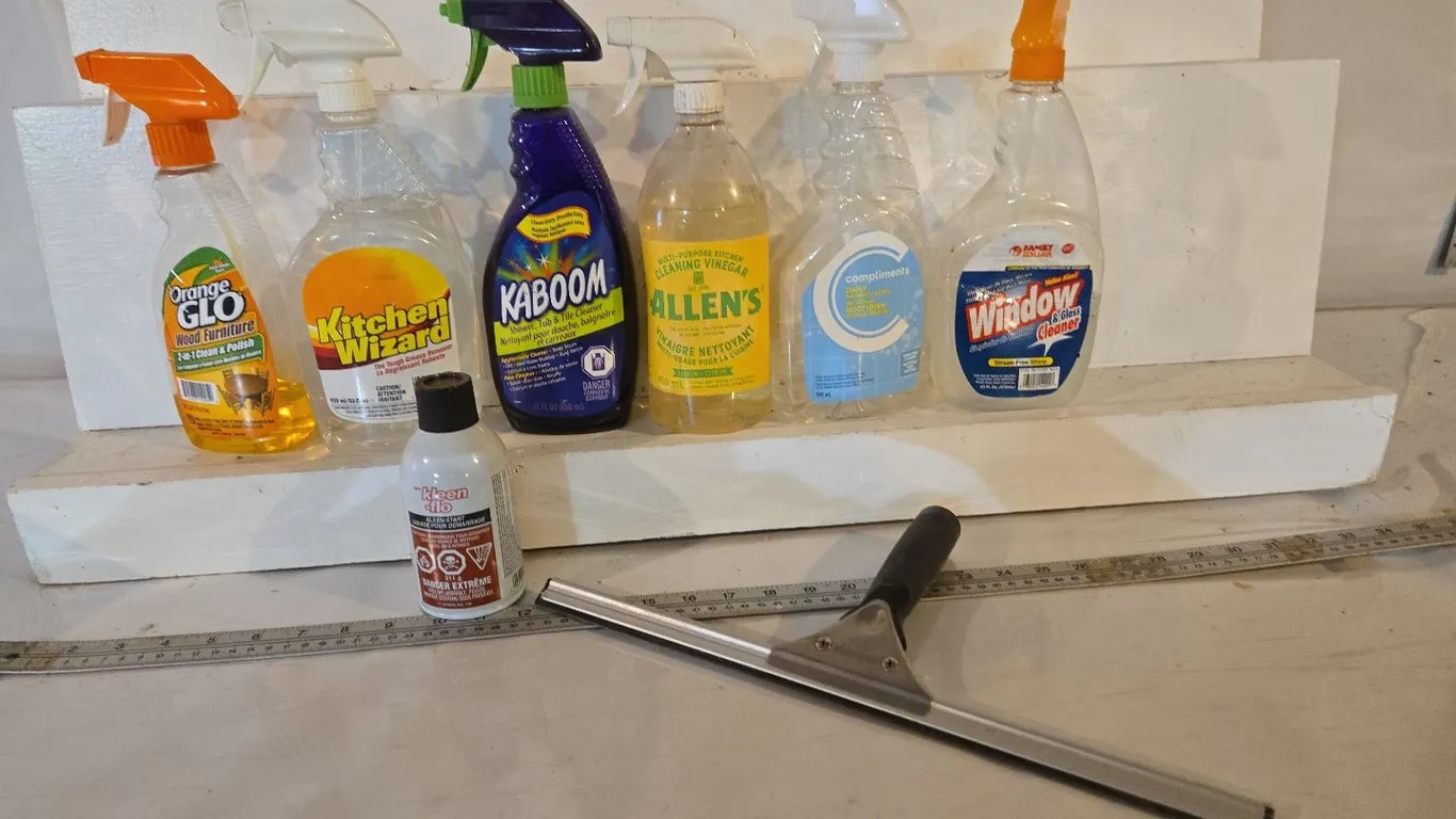 Variety of Cleaning Supplies