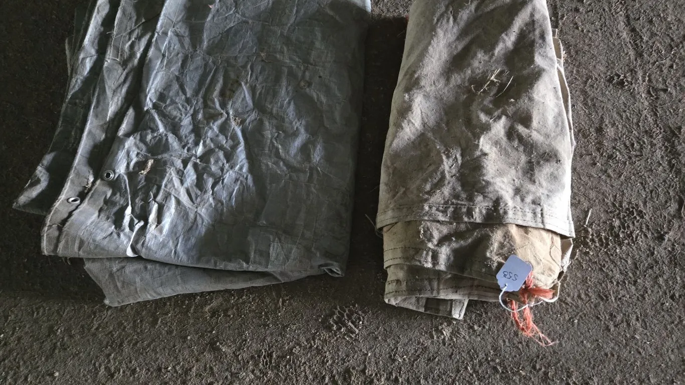 Tarps - one canvas, one poly