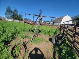 CATTLE SCRATCHER