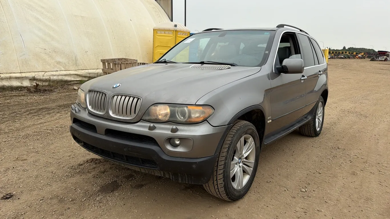 2006 BMW X5 4.4i SUV - VIN: 5UXFB53566LV23019