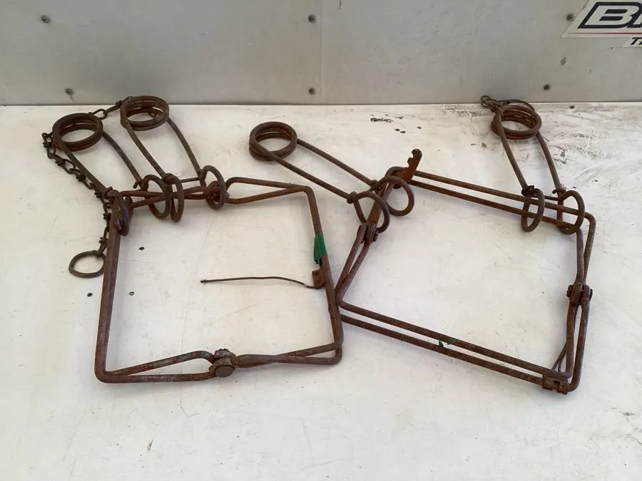 330 Conibear traps
