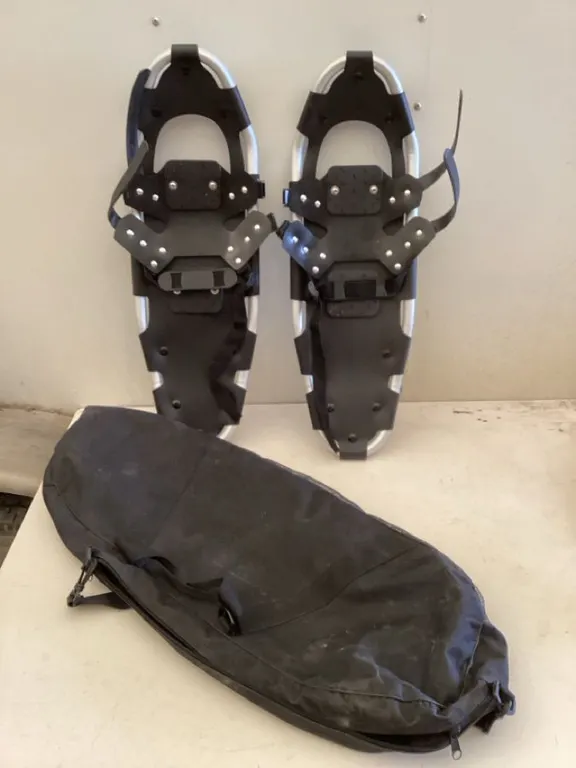 Snowshoes, 8“ x 25“