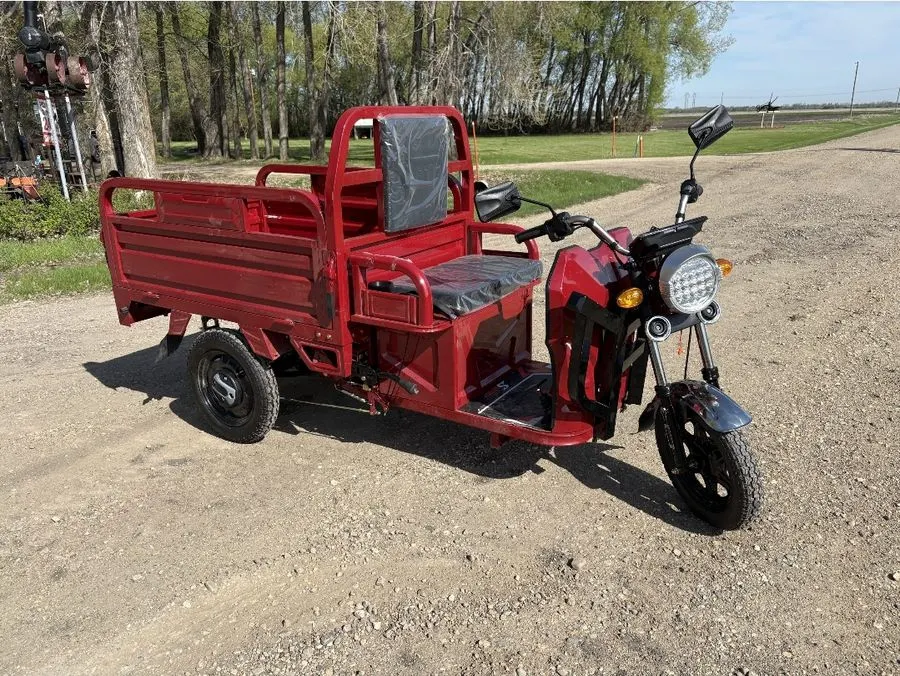 New UNASSEMBELD tricycle style electric utility truck, SILVER. See video, see lot details. File pics. - colour is wrong.