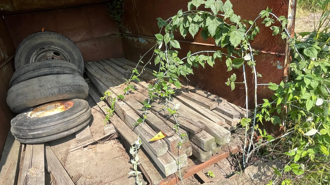 Various Wood Lumber