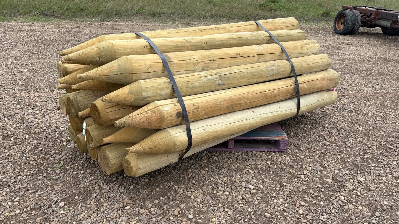 (25) Unused Treated 7"-8" x 8' Posts