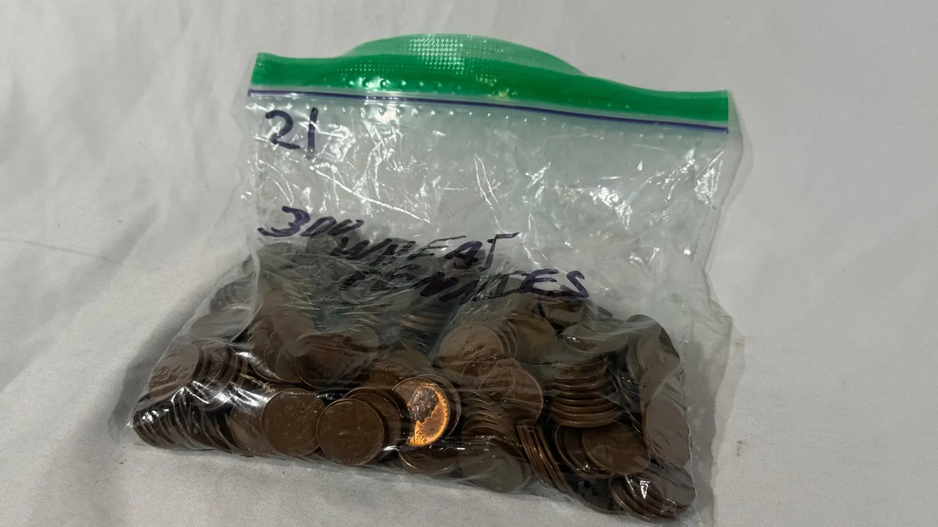 (300) WHEAT PENNIES