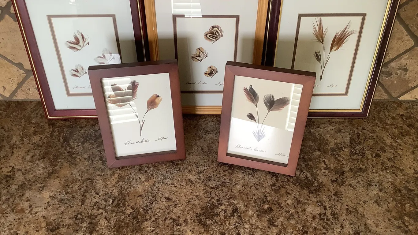 Feather Artwork