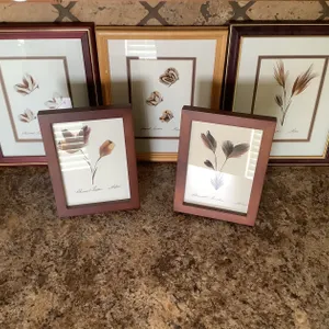 Feather Artwork