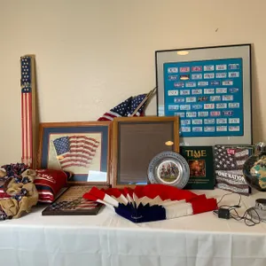Patriotic Lot