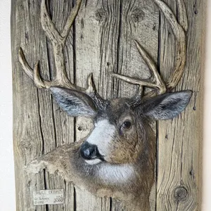 "Mule Deer" by G. Turner