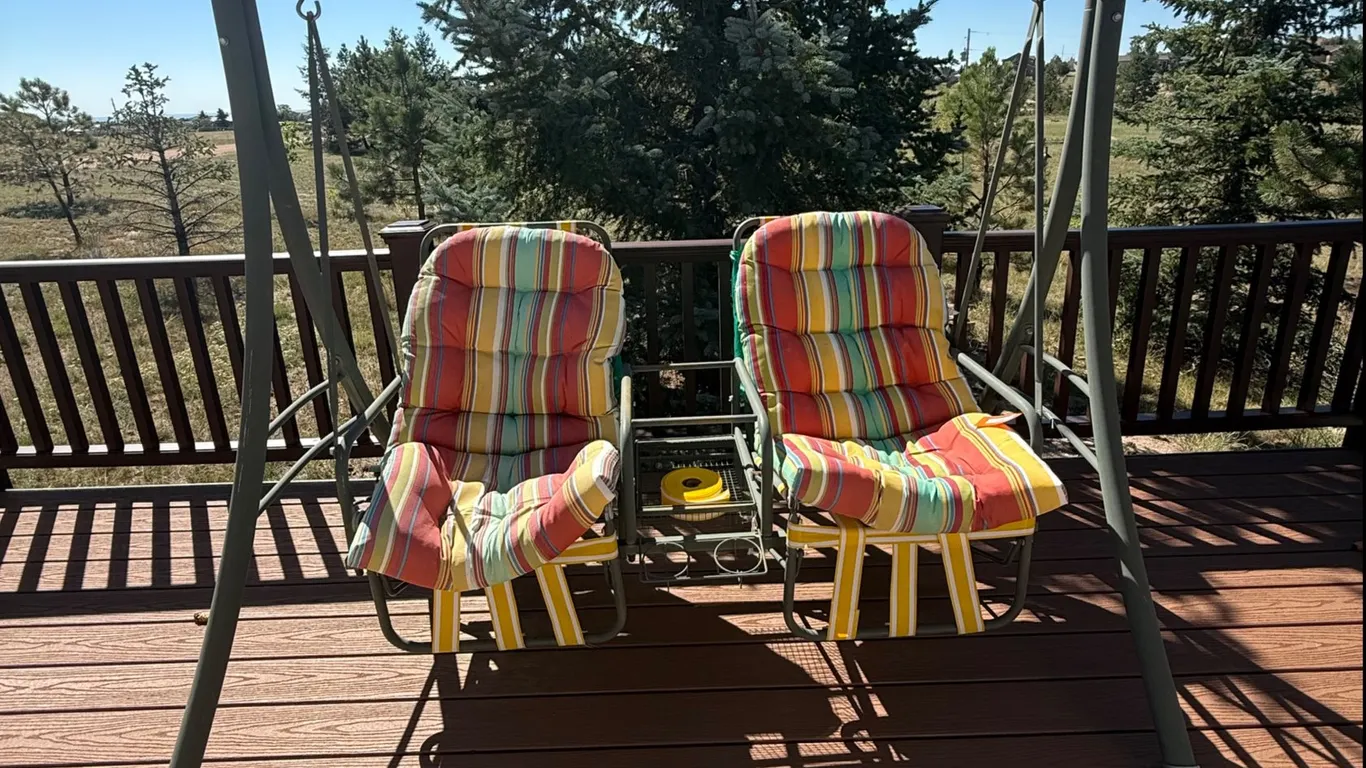 Outdoor 2-Seater Swing