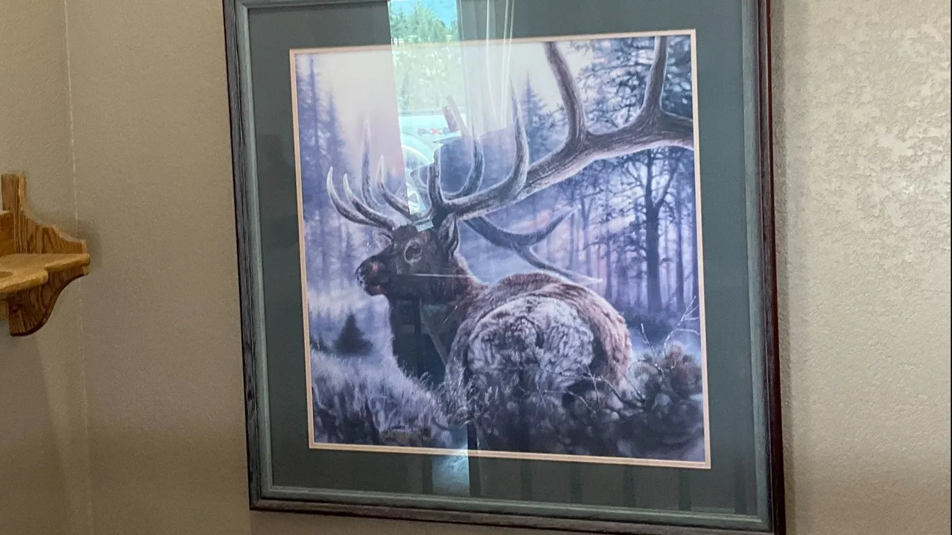 Vivi Crandall Framed Print