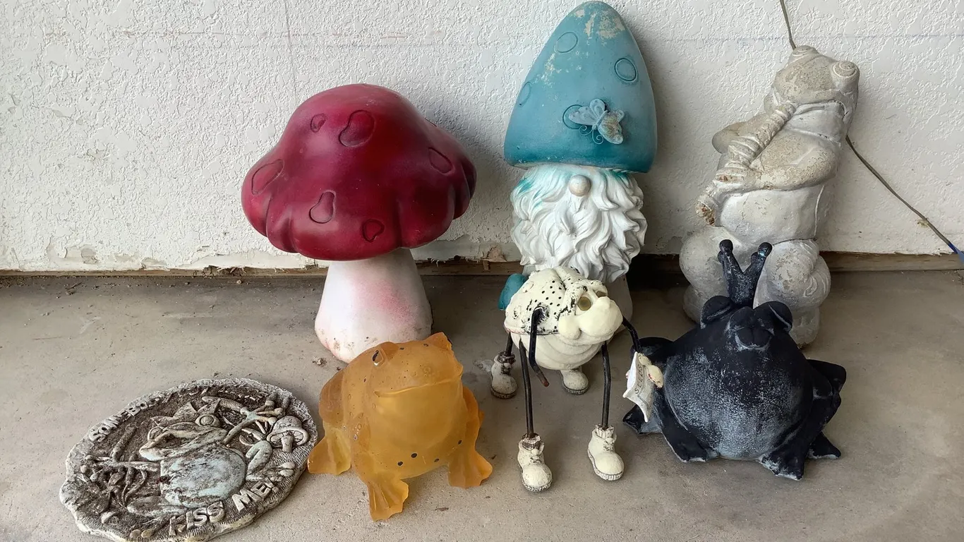 Frogs and 'Shrooms