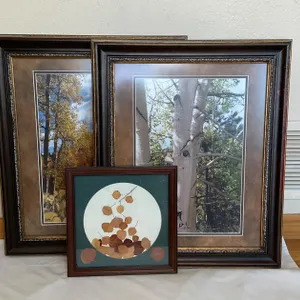 Framed Aspen Artwork
