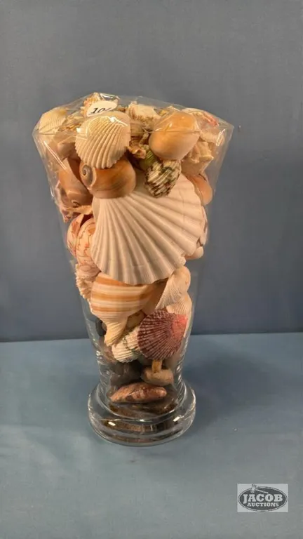 GLASS 12IN HIGH VASE WITH SHELLS
