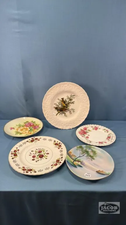 (5) PLATES