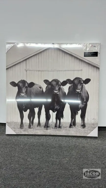 CATTLE PICTURE ON CANVAS