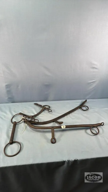 SET OF HAMES AND (2) BITS