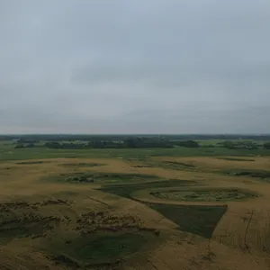 Whitewood, SK NE 13-15-4-W2 159.11 +/- Acres on Title Farmland