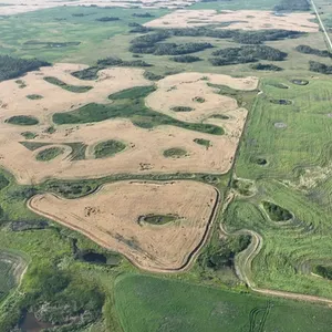 Whitewood, SK NE 13-15-4-W2 159.11 +/- Acres on Title Farmland