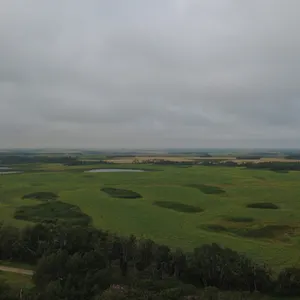 Whitewood, SK NE 7-15-3-W2 161.37 +/- Acres on Title Farmland