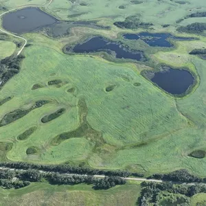 Whitewood, SK NE 7-15-3-W2 161.37 +/- Acres on Title Farmland
