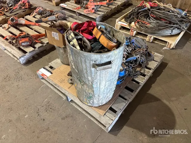 Quantity of Chain Hoists
