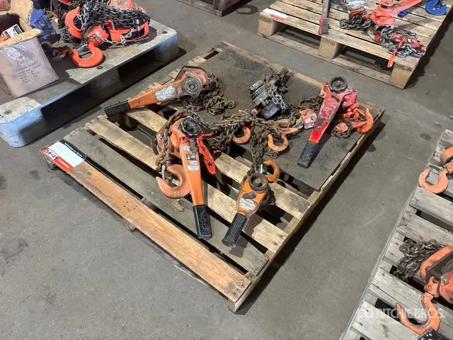 Quantity of (5) Chain Hoists Rigging