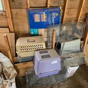 Assorted Pet Carriers, Wire Cages and Pet Gate
 UNRESERVED