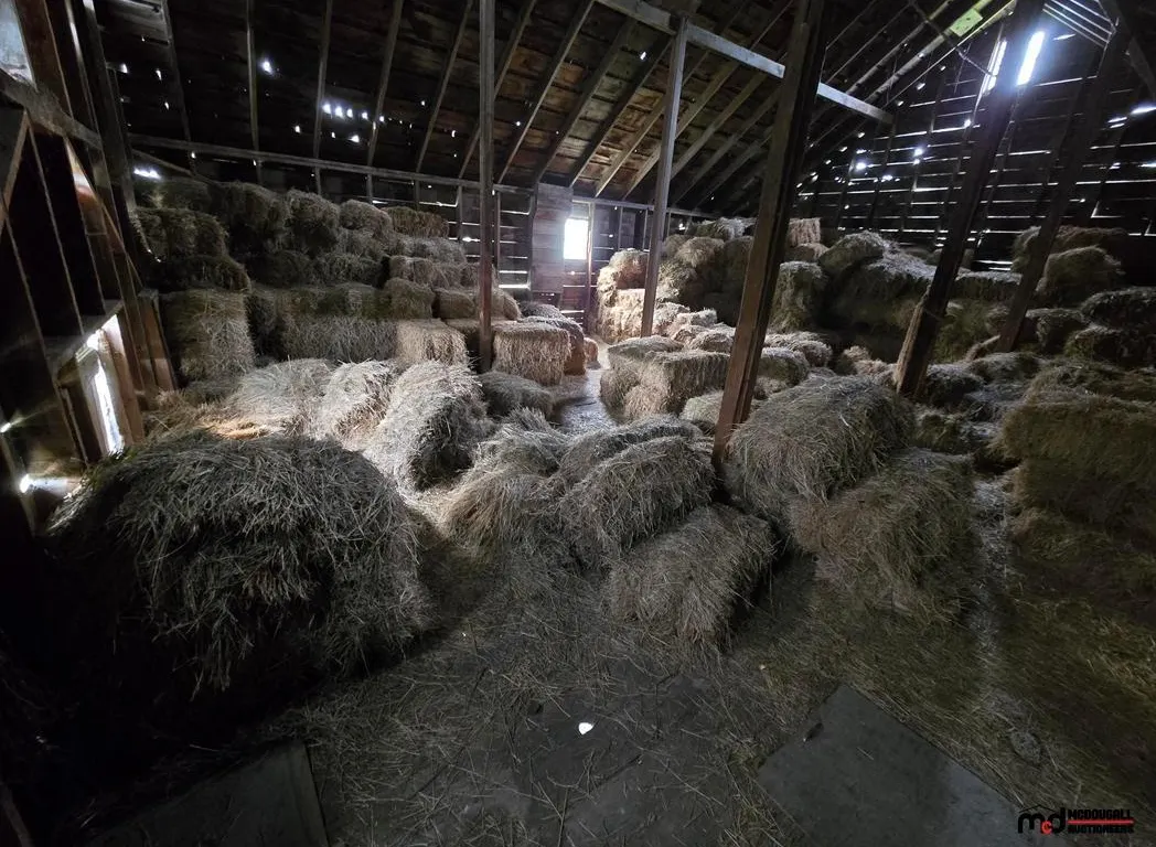 Bulk Lot of Small Square Hay Bales
UNRESERVED