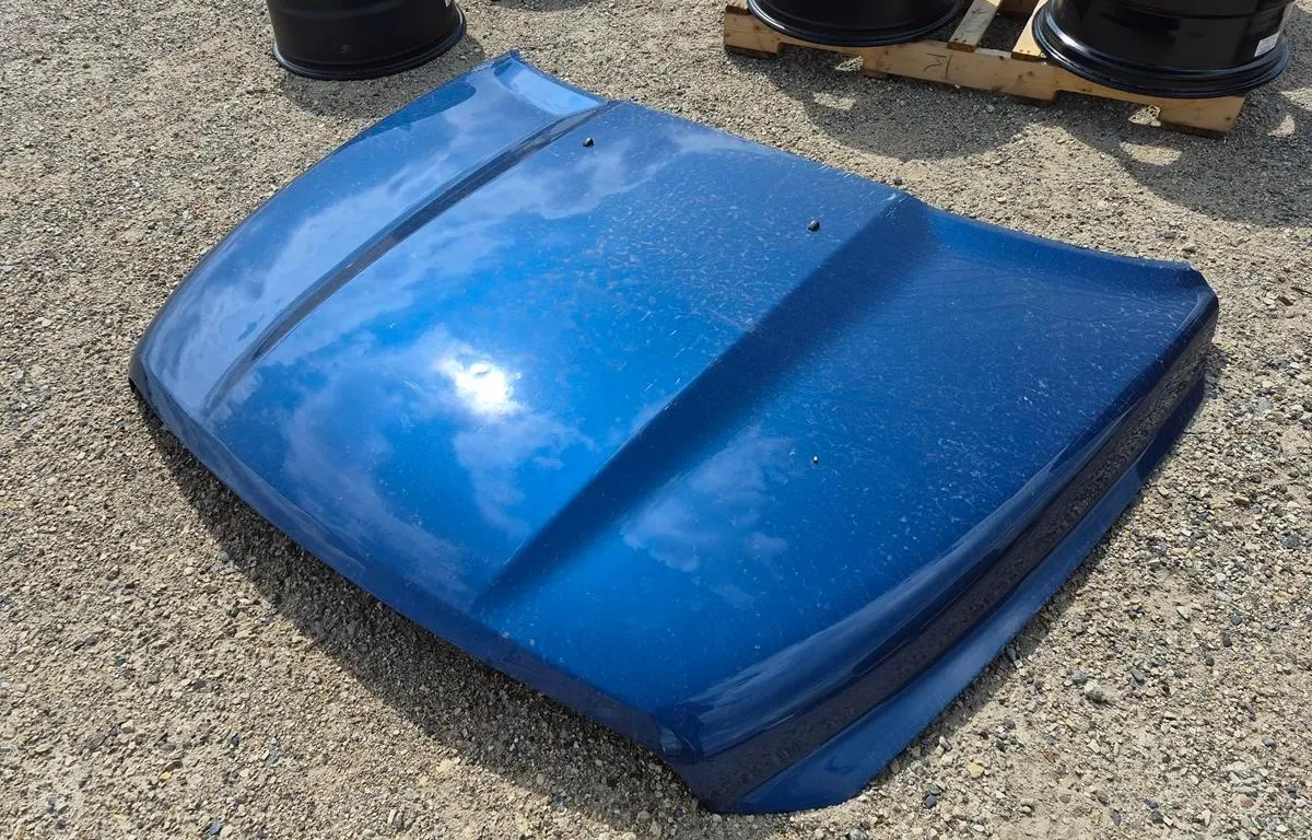 Blue Truck Hood
UNRESERVED