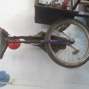 Unicycle