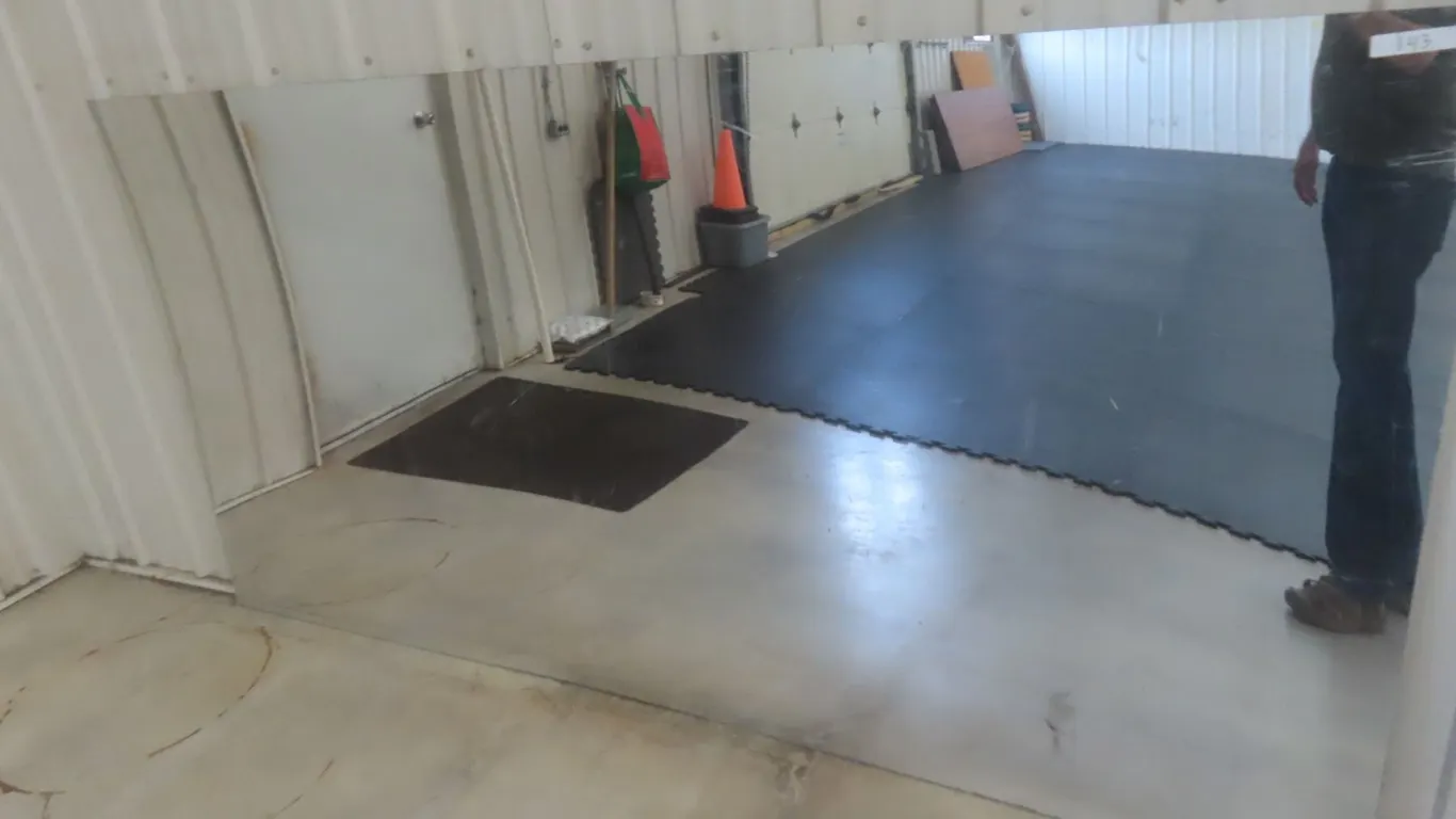 Mylar 4' x 8' Mirror