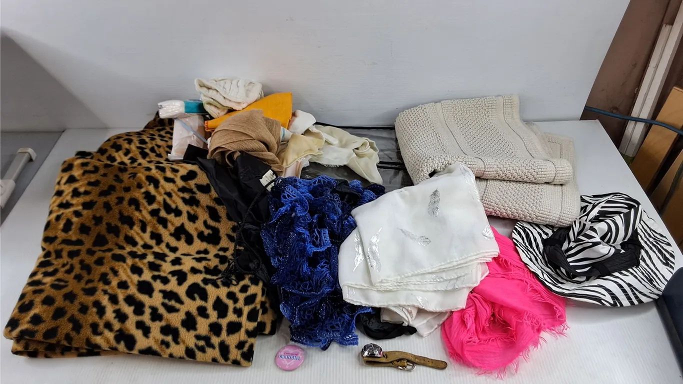 Watch, Blankets, Floor Mat, Hat, Veils, Lapel Pin, Misc