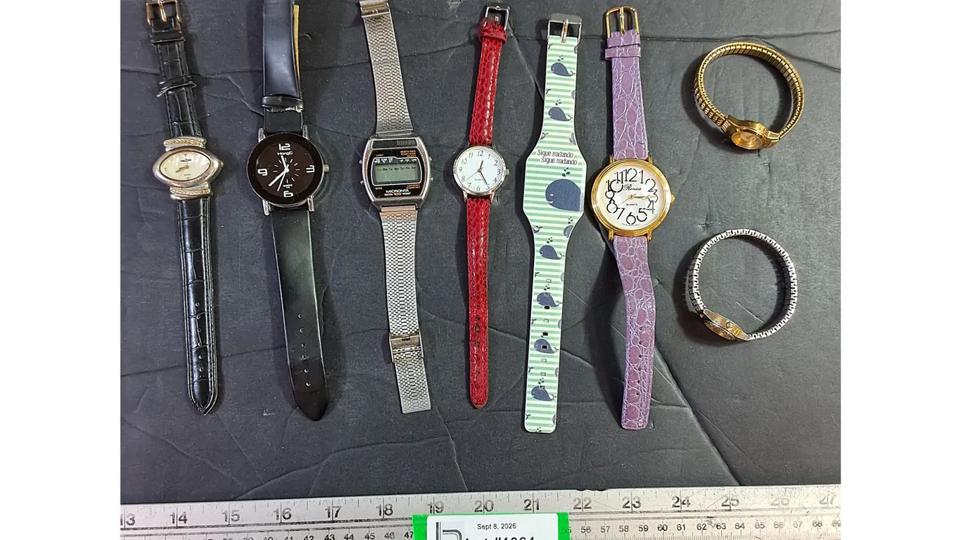 (8) Watches - Timex, Micronta, HongC, TimeZone