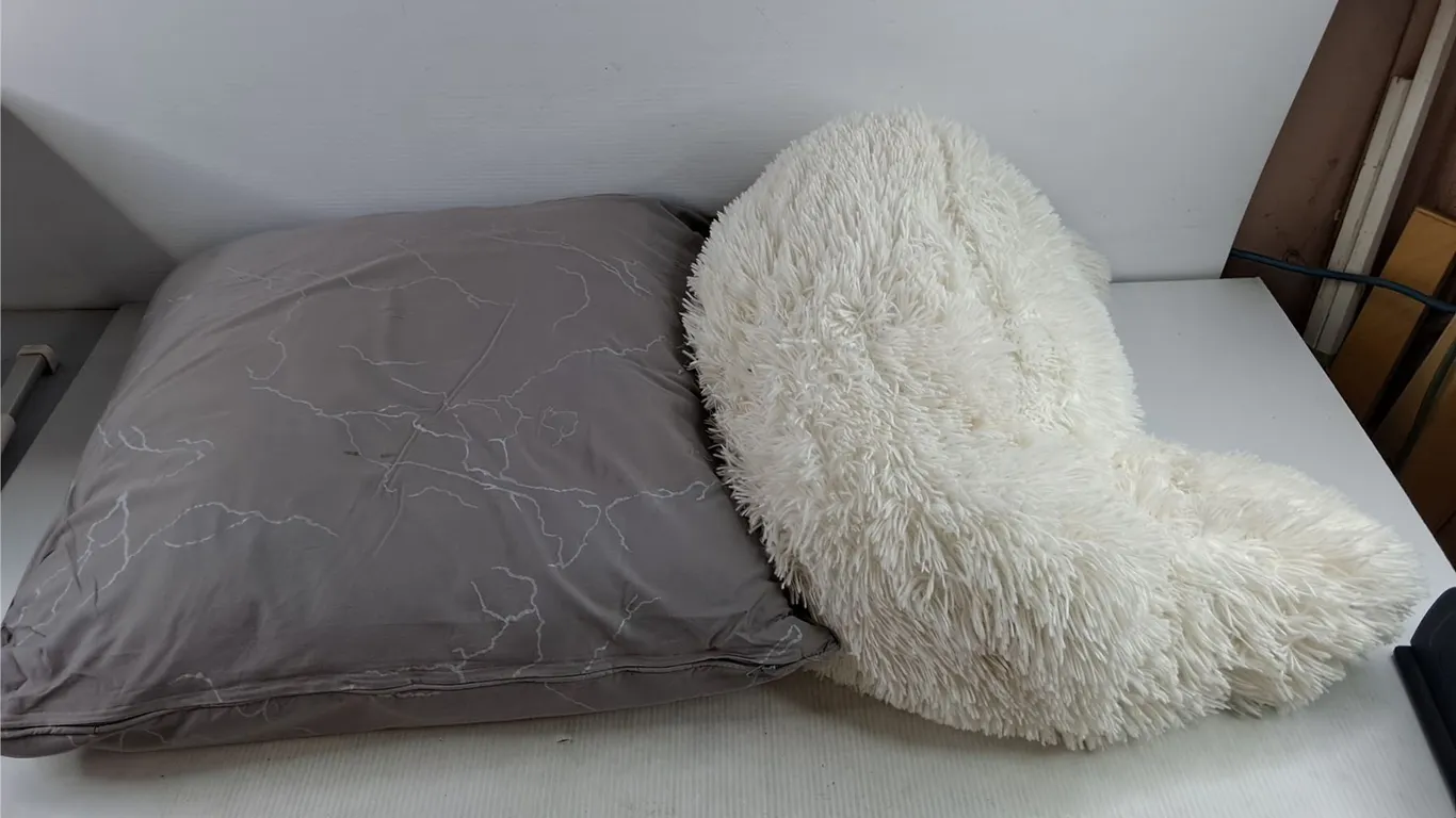 (2) Pillows - PICKUP ONLY